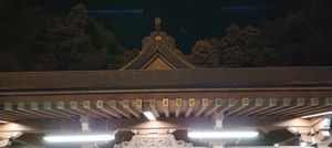 Oppo_reno11a_912